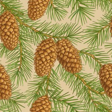 Fir tree vector pattern on white background Illustrazione stock