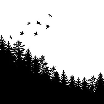 Fir trees and pines Ilustración de archivo