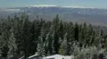 Fir Trees covered by hoar and snow Forest Frost Woods Mountain Peak Top Day HD Footage
