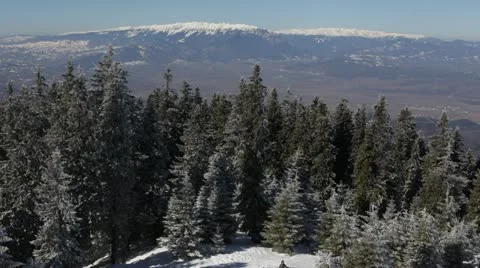 Fir Trees covered by hoar and snow Forest Frost Woods Mountain Peak Top Day Stock Footage 21992099