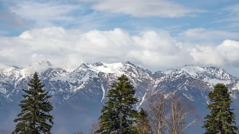 The fir trees in front of the high mountains covered with snow. Stock Footage 170874801