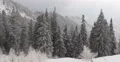 Fir Trees Frozen Forest Mountain Snow Covered Cloudy Mist Day Hoarfrost Branches 4k or 4k+ Resolution
