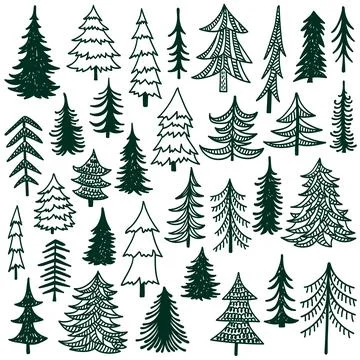 Fir trees hand drawn doodles vector illustration Stock Illustration