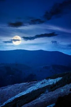 Fir trees on a meadow down the hill at night Stock Photos