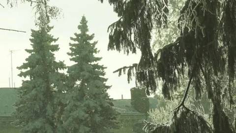 Fir-trees, Orthodox cathedral Видео 85324967