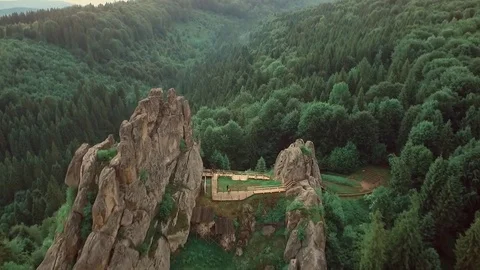 Fir trees rocks nature shooting from quadropress tustan Video stock 82232302