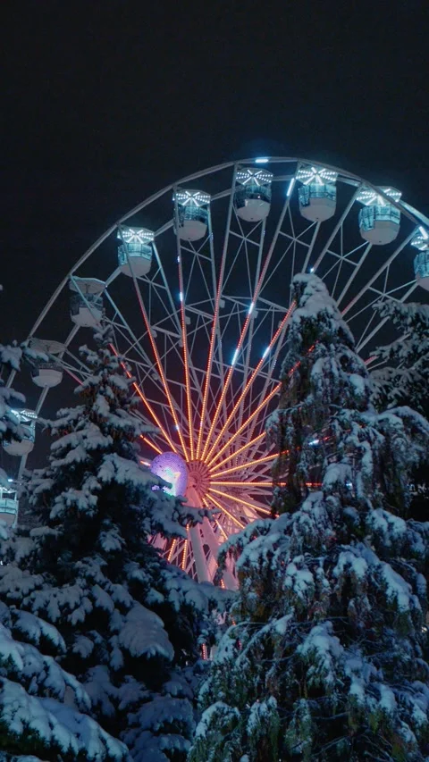Fir trees with snow and a lighted wheel at the Christmas market background Stock Footage 314783504