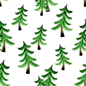 Fir trees on white background Stock Photos