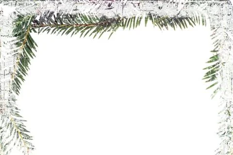 Fir twig frame Stock-Fotos