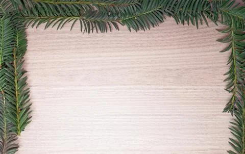 Fir twig frame Stock Photos