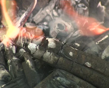 FIRE 04 库存影片 502491