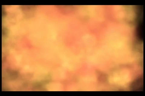 Fire 1 Stock Footage 229426