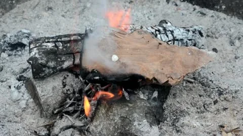 Fire 1 Video stock 12170502