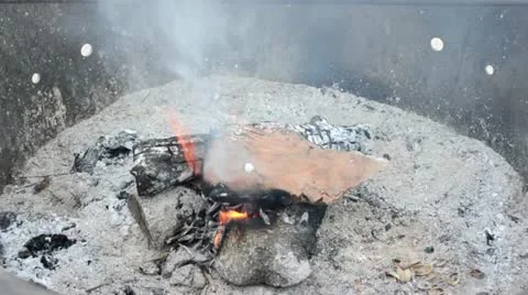 Fire 2 Video stock 12170545