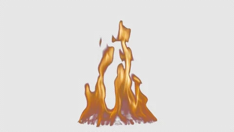 FIRE 2  Stock Footage 169935986