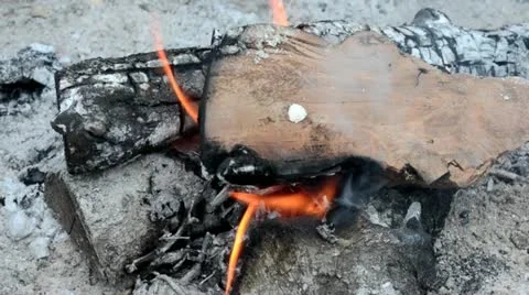 Fire 3 Video stock 12170735