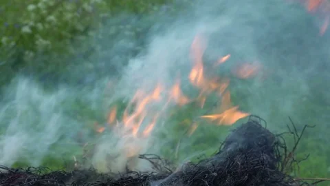 FIRE 4k 動画素材 79095945