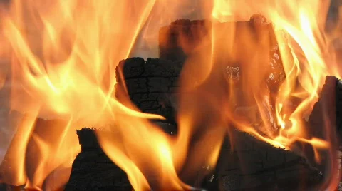 Fire 8 Video stock 733018