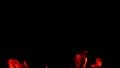 Fire 96fps 17 Slow Motion x4 HD Footage