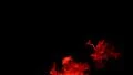 Fire 96fps 38 Slow Motion x4 HD Footage