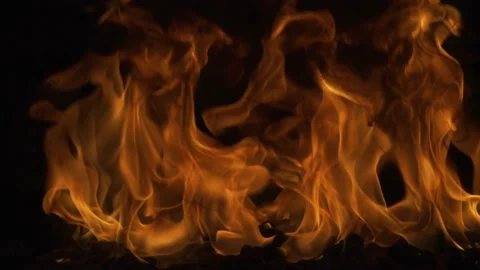 Fire. Abstract background of fire and flames. Burning big flame. Devil fire Stock Footage 169615559