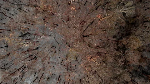 Fire Aftermath Stock Footage 158513564