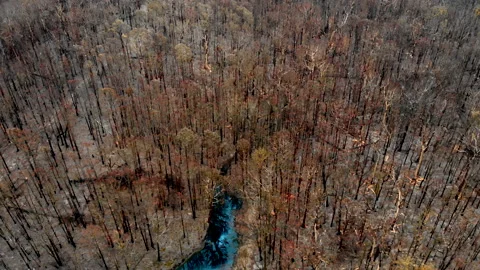 Fire Aftermath Stock Footage 158517146