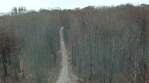 Fire Aftermath Stock Footage 158523194