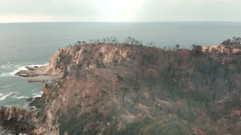 Fire aftermath. Scorched coast, charred coastline.  Stock Footage 158713461