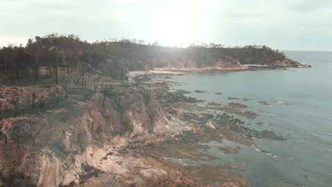 Fire aftermath. Scorched coast, charred coastline.  Stock Footage 158715379