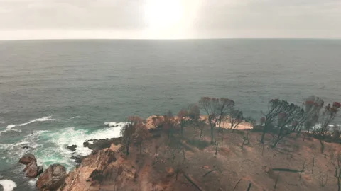 Fire aftermath. Scorched coast, charred coastline.  Stock Footage 158715991
