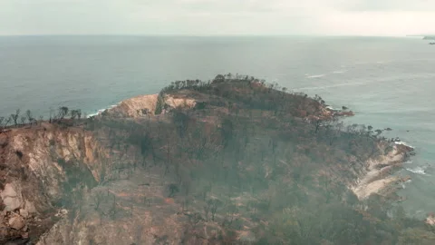 Fire aftermath. Scorched coast, charred coastline.  Stock Footage 158776642