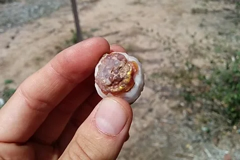 Fire agate specimen Stock Footage 165915526