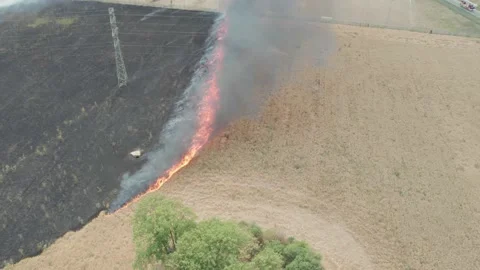 A fire on agricultural fields. The grain is on fire, the global warming crisi Stock Footage 214813376