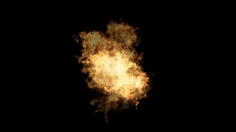 Fire with alpha matte layer Stock Footage 104017324