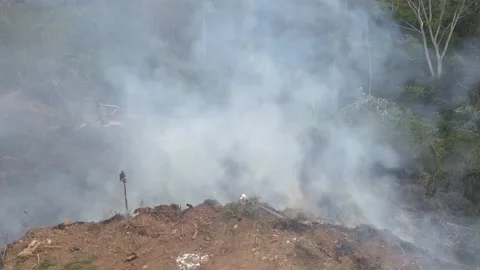 Fire in Amazon Deforestation In Amazonia firefighting in the Amazon rainforest  Stock Footage 146016065