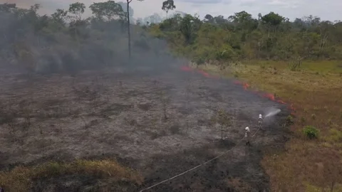 Fire in Amazon Deforestation In Amazonia firefighting in the Amazon rainforest  Stock Footage 146140220