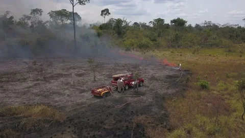 Fire in Amazon Deforestation In Amazonia firefighting in the Amazon rainforest  Stock Footage 146140489