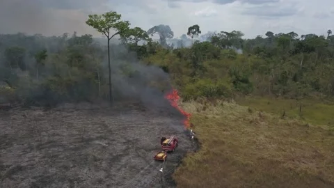 Fire in Amazon Deforestation In Amazonia firefighting in the Amazon rainforest Stock Footage 146140548