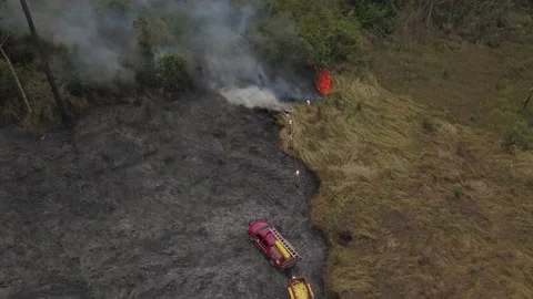Fire in Amazon firefighting in the Amazon rainforest - firefighter - Image pack Stock Footage 146143398