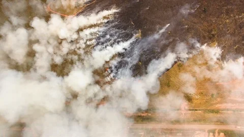 Fire in the amazon Stock Footage 116512756