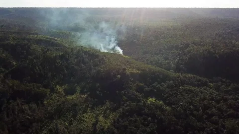 Fire In The Amazon Stock Footage 127146284