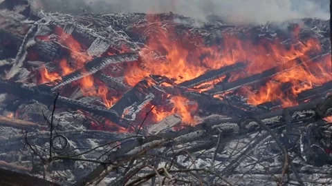 FIRE AND ASH Stock Footage 273985909