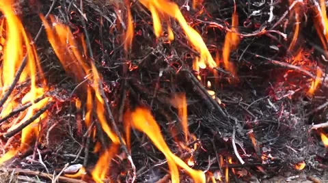 Fire and ashes Stock Footage 54917563