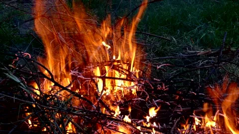 Fire and big flame image, flame image close-up,large flames resulting from .. Vídeo Stock 278865742