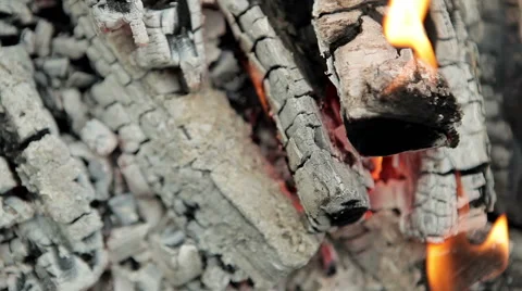 Fire and burned out tree Stock Footage 50491156