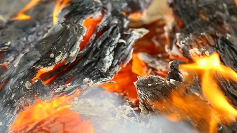 Fire and burning coals close up. Stock Footage 165416527