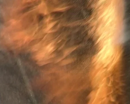 Fire and Burning Stock-Footage 1075887