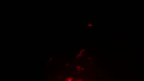 Fire and darkness Stock Footage 77748743