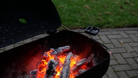 Fire and ember Stock Footage 79628503